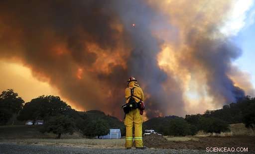 Wildfire Displaces Hospital Staff: Overcoming Adversity and Healing