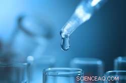 Fast Water‑Bacteria Detection Device Accelerates Contamination Diagnosis