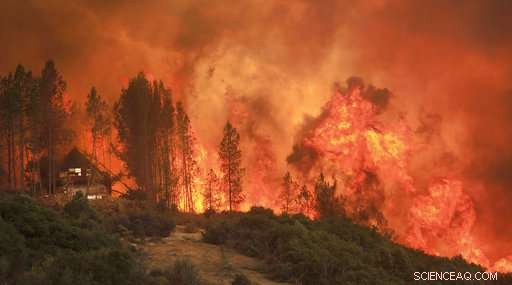 California Wildfire Generates Deadly Fire Tornado