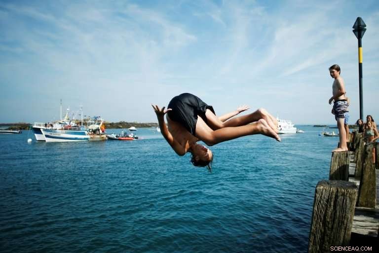 Europe Faces Record Heatwave and Wildfires: Portugal s Burning Crisis (Update)