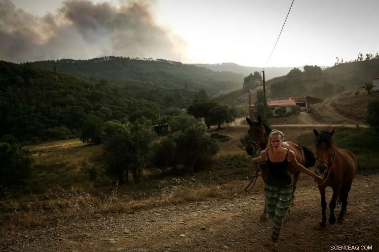 Europe Faces Record Heatwave and Wildfires: Portugal s Burning Crisis (Update)