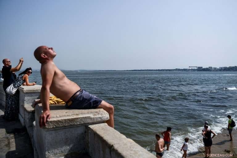 Europe Grapples with Record-High Temperatures: Asphalt Melts, Dogs in Danger