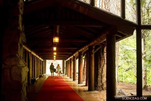 Yosemite National Park Closed Due to Hazardous Smoke, Affecting Peak Season Visitors