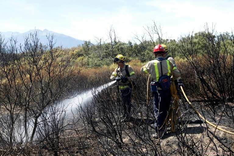 Border Blaze Forces Closure of France‑Spain Highway