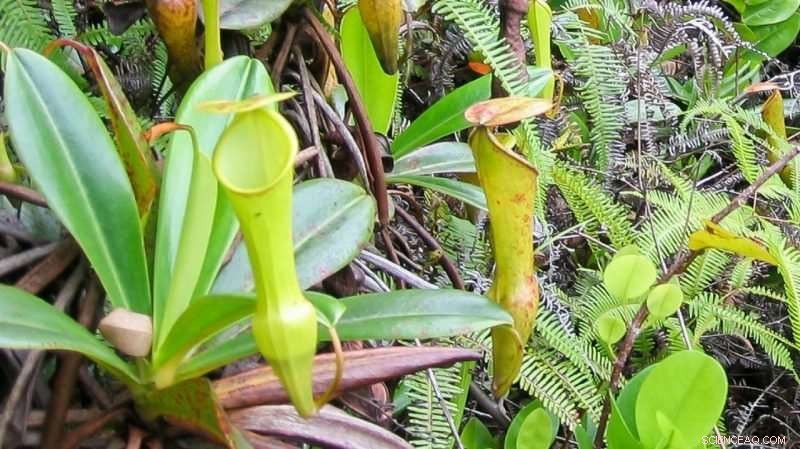 Innovative Super‑Slippery Packaging Cuts Food Waste