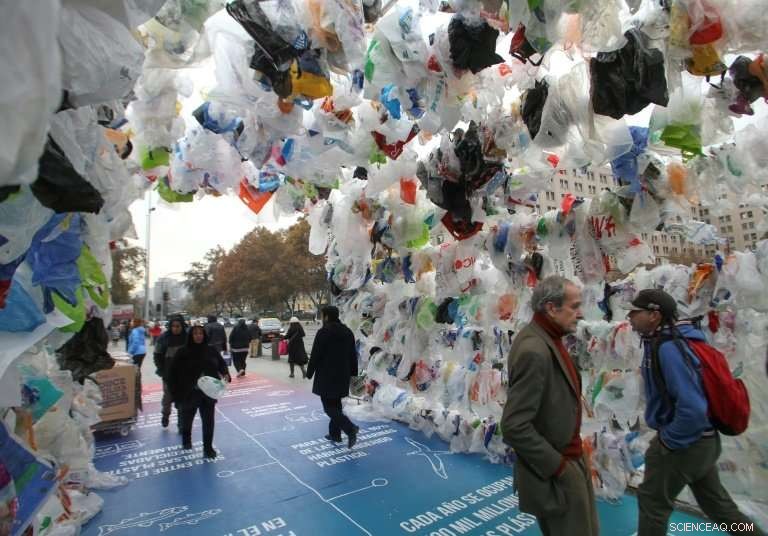 Chile Leads Latin America with First Nationwide Plastic Bag Ban