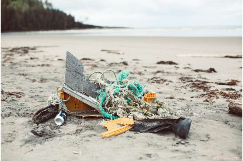 Cigarettes Constitute Half of Shoreline Waste Recovered in Vancouver and Victoria