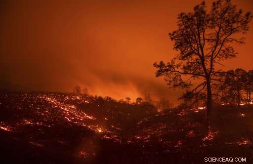 Twin California Wildfires: Second Largest in State History