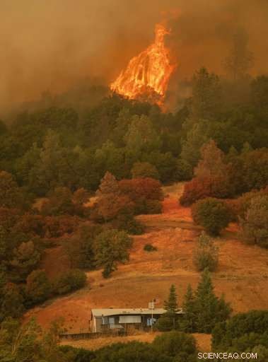 Twin California Wildfires: Second Largest in State History
