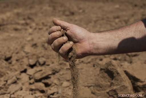 Five-Year Drought Tests Israel s Water Strategy and Desalination Plans