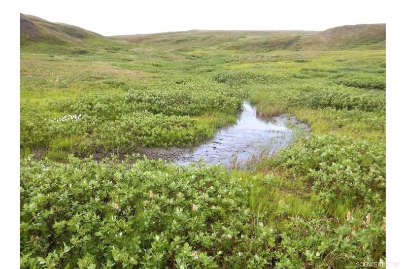 Arctic Carbon Cycle Accelerates, New Study Reveals