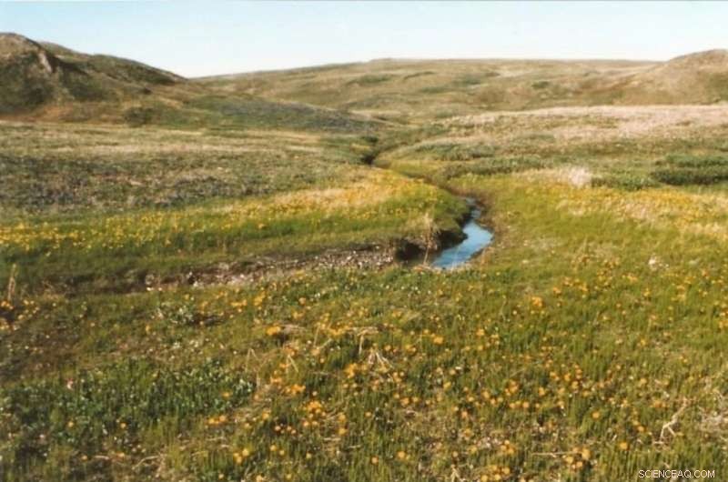 Arctic Carbon Cycle Accelerates, New Study Reveals