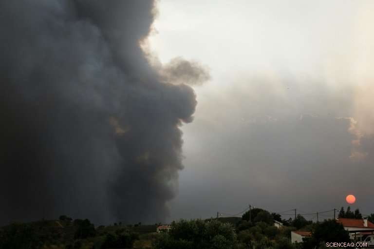 Europe Faces Near‑Record Heatwave, Residents Seek Relief