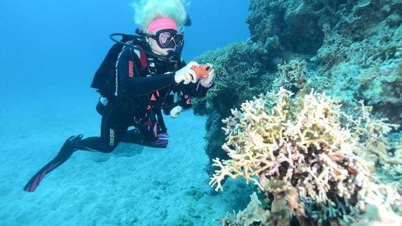 Australian Citizens Drive Great Barrier Reef Protection Initiative