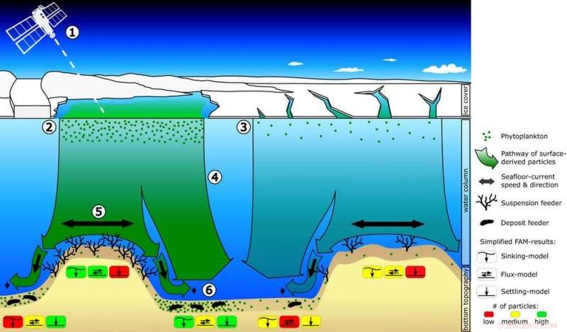 Mapping Antarctica’s Hidden Biodiversity: Unexpected Lifeforms Revealed in the Southern Ocean
