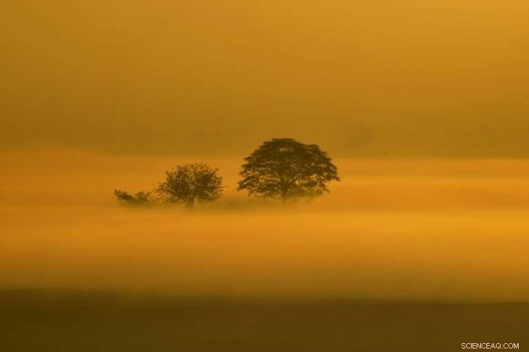 Study Warns Earth Could Shift to Permanent Hothouse Climate – Immediate Green Transition Needed