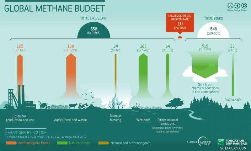 Climate Change and Wetter Weather Reduce Forest Soil Methane Absorption
