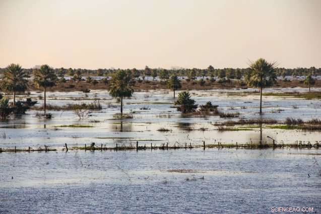 Groundbreaking Study Enhances Long-Term Weather Forecasting in South America