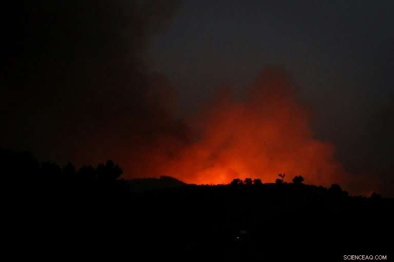 Portuguese Wildfires Threaten Algarve Resort Town as Firefighters Battle Rapidly Spread Flames