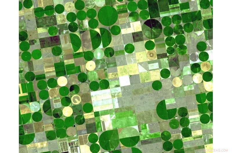 Rapid Groundwater Extraction from the Ogallala Aquifer Outpaces Natural Replenishment