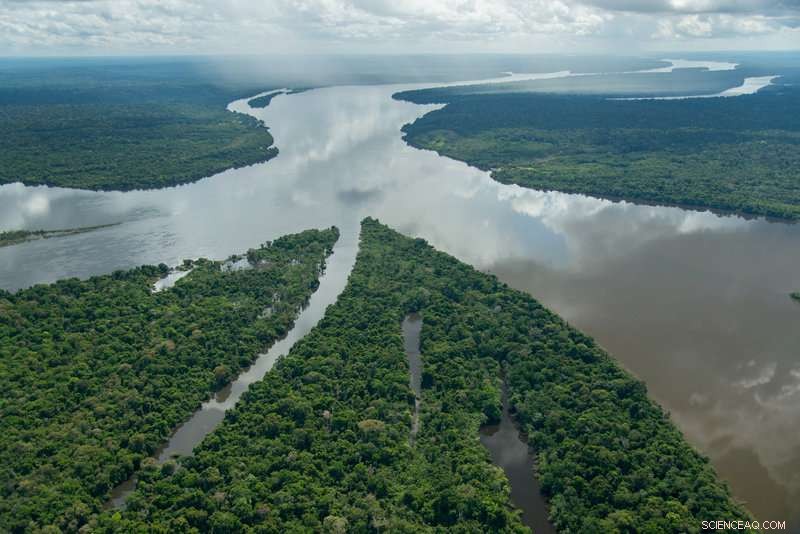 Protected Areas Could Drive Brazil’s Economic Growth, Study Reveals