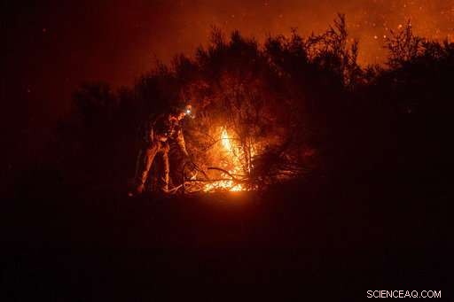 California Battles 18 Wildfires, Facing Potential Record-Breaking Fire Season