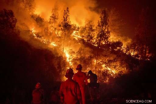 California Battles 18 Wildfires, Facing Potential Record-Breaking Fire Season