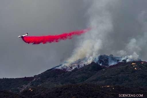 California Battles 18 Wildfires, Facing Potential Record-Breaking Fire Season