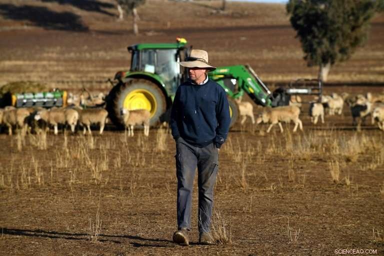 Australia s Farmers Face Dire Crisis Amid Severe Drought