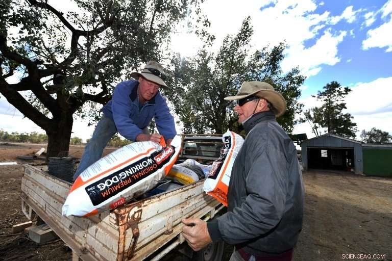 Australia s Farmers Face Dire Crisis Amid Severe Drought