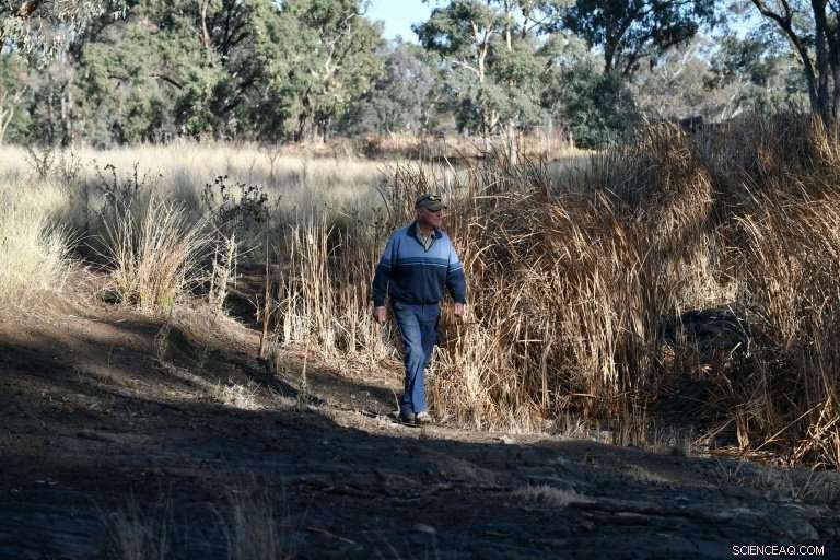 Australia s Farmers Face Dire Crisis Amid Severe Drought