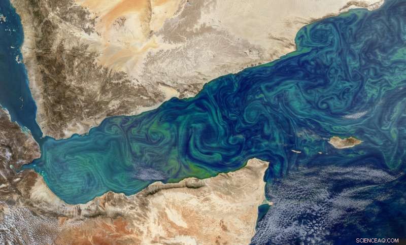 NASA Expedition Deciphers Ocean Microbes to Unlock Climate Insights