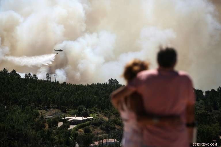 Portugal Intensifies Efforts to Combat Expanding Algarve Wildfire