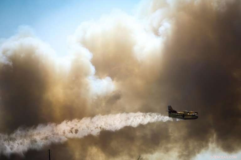 Portugal Intensifies Efforts to Combat Expanding Algarve Wildfire