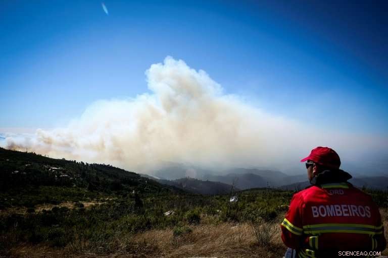 Portugal Intensifies Efforts to Combat Expanding Algarve Wildfire