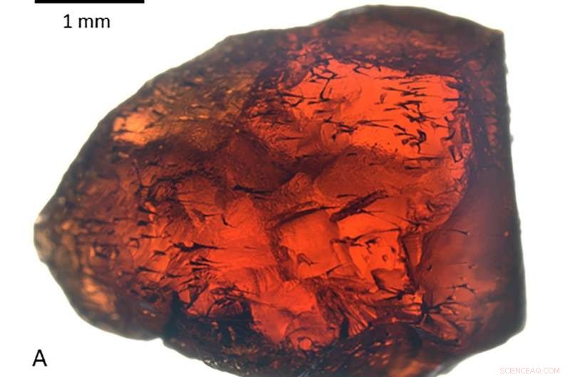 Microbial Boring Creates Tiny Tunnels in Garnet Crystals