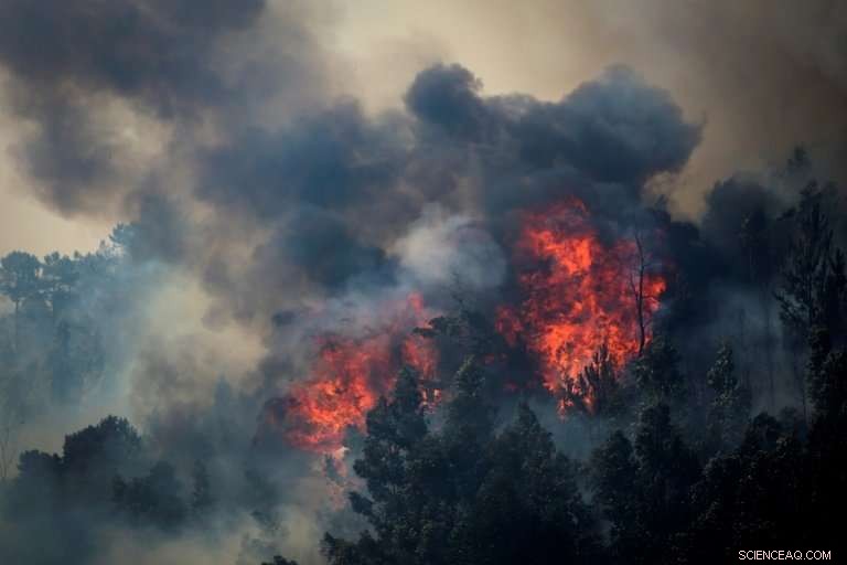 Ten Ways Climate Change Exacerbates Wildfires