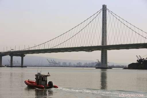 Distant Wildfires Cast Smog Over California’s Capital, Raising Air Quality Alerts