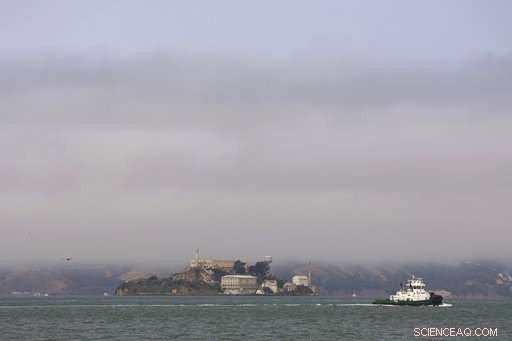 Distant Wildfires Cast Smog Over California’s Capital, Raising Air Quality Alerts