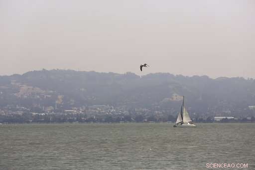 Distant Wildfires Cast Smog Over California’s Capital, Raising Air Quality Alerts