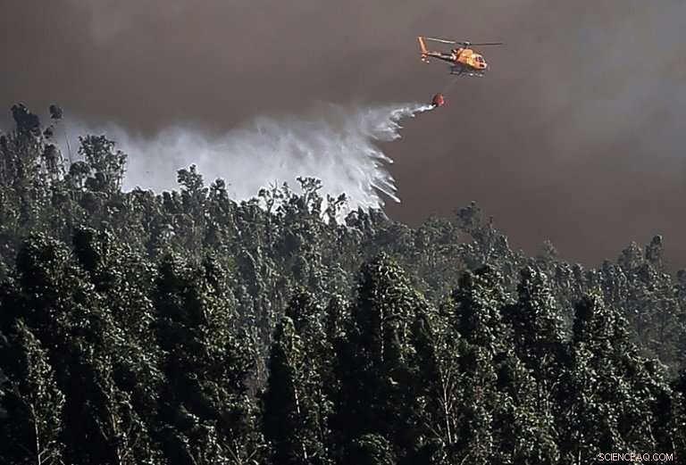 Intense Smoke Blanket Over Southern Portugal Beaches Amid Ongoing Wildfires