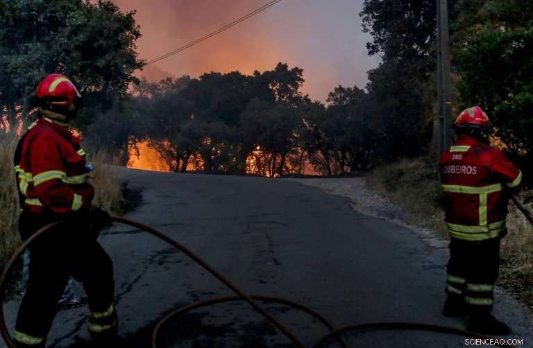 Intense Smoke Blanket Over Southern Portugal Beaches Amid Ongoing Wildfires