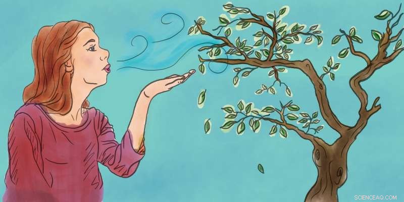 How Trees Are Built From the CO₂ We Exhale