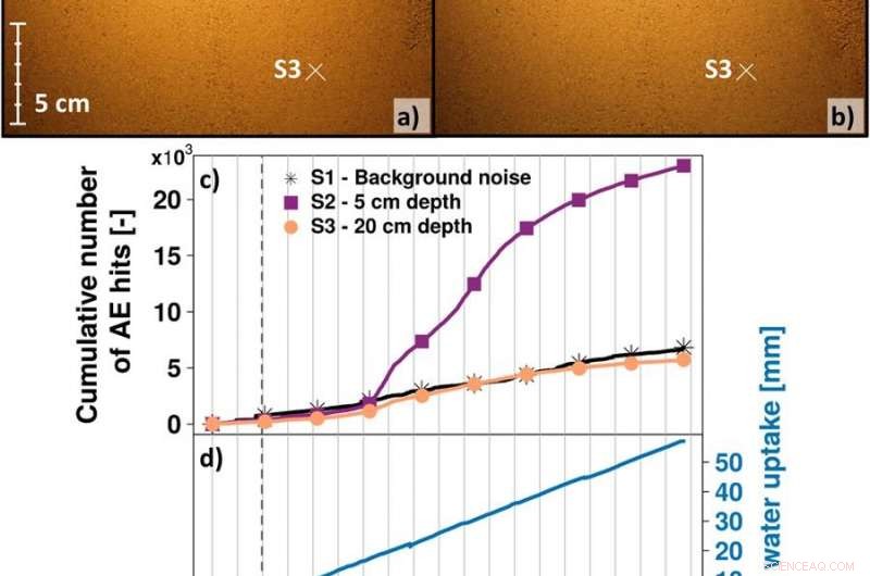Listening to Roots and Worms: A Novel Acoustic Monitoring Technique