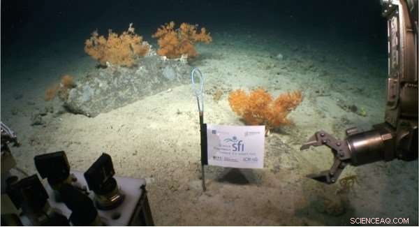 Scientists Uncover Majestic Submarine Canyon Along Ireland’s Continental Shelf