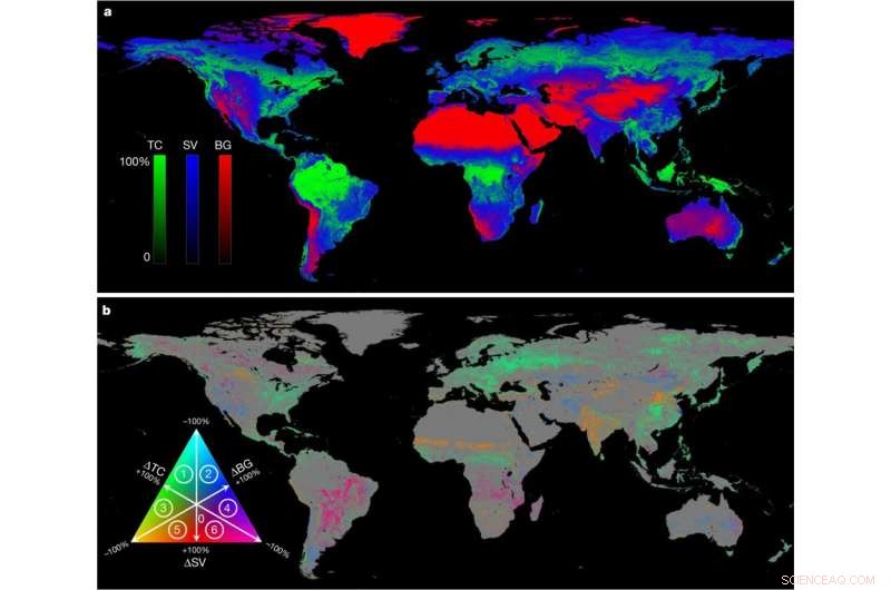 Study Finds Global Forest Loss Over 35 Years Offset by New Growth