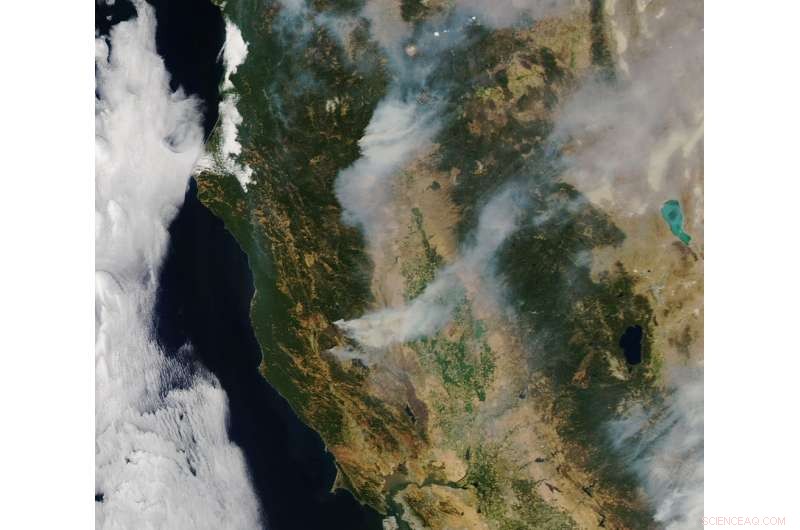 Exploring the Connection Between Climate Change and Wildfires: What the Science Says