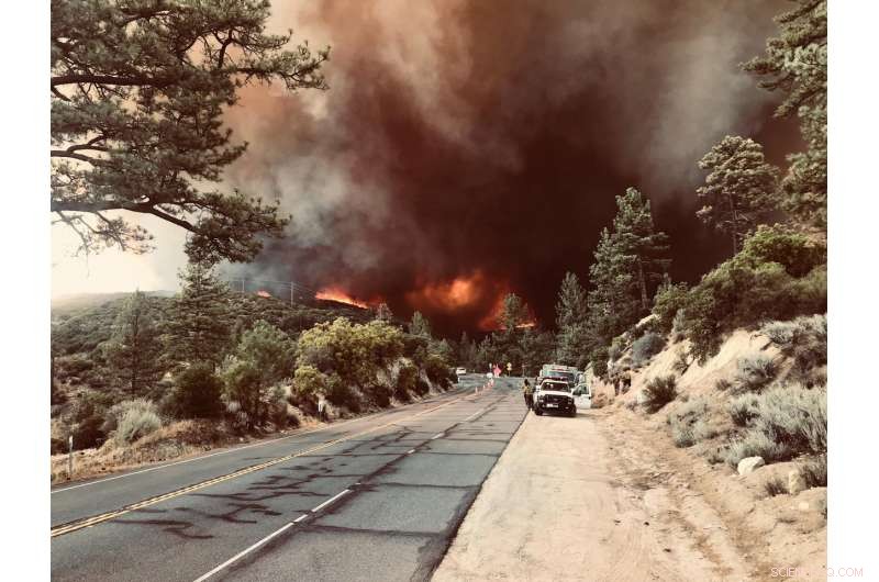 Natural Disasters Expose Vulnerable Populations: Unveiling Hidden Human Stories