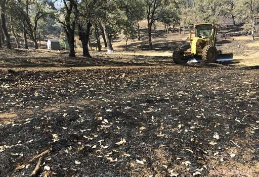 California Firefighters Restore Land After Wildfire Damage