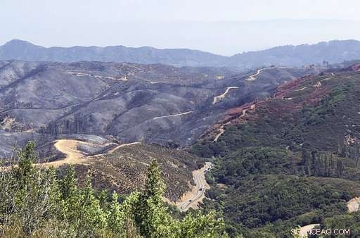 California Firefighters Restore Land After Wildfire Damage
